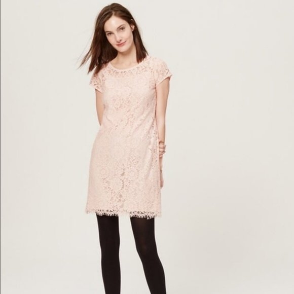 LOFT Dresses & Skirts - NWT LOFT Pink Cap Sleeve Floral Lace Dress